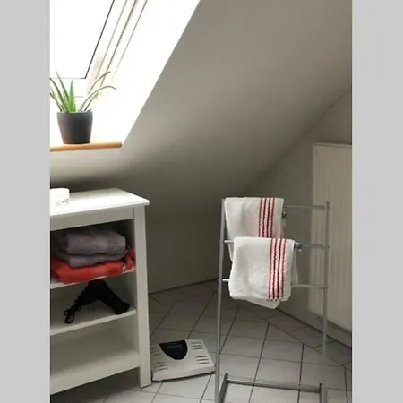 Apartment Komfortferienwohnung Harzglueck Auf 2 Etagen Hohegeiss