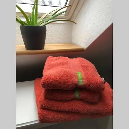 Harzglueck Auf 2 Etagen Mit Grossem Sw-balkon Apartmán