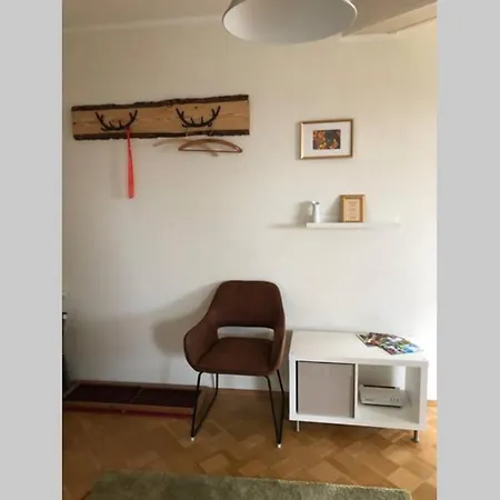 Harzglueck Auf 2 Etagen Mit Grossem Sw-balkon Hohegeiß