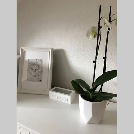 Harzglueck Auf 2 Etagen Mit Grossem Sw-balkon Apartmán Hohegeiß