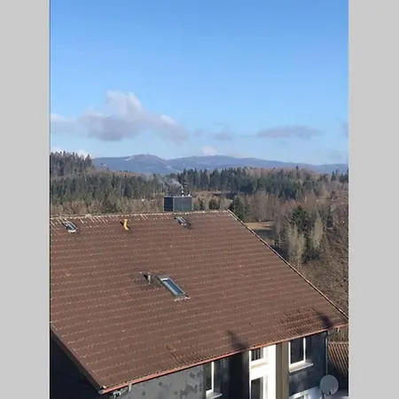 Apartmán Harzglueck Auf 2 Etagen Mit Grossem Sw-balkon *