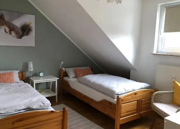 公寓 Harzglueck Auf 2 Etagen Mit Grossem Sw-balkon Hohegeiß