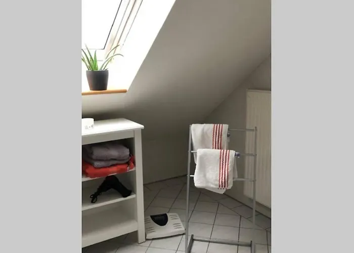 公寓 Harzglueck Auf 2 Etagen Mit Grossem Sw-balkon Hohegeiß