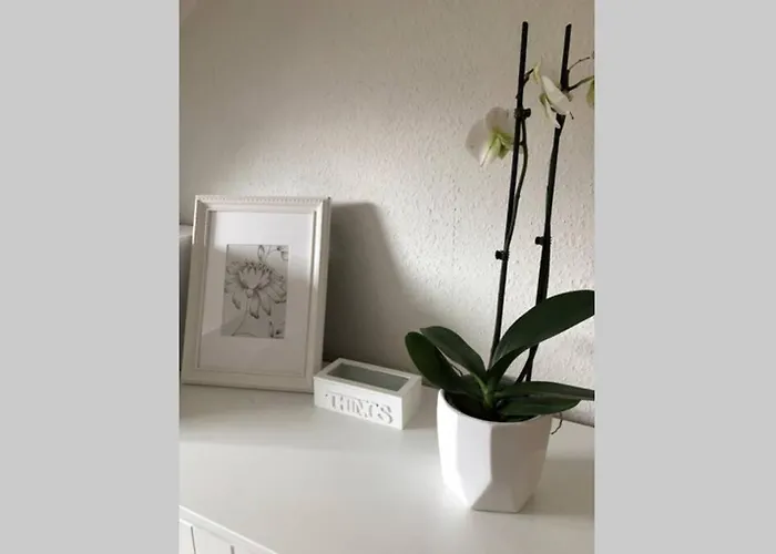 Harzglueck Auf 2 Etagen Mit Grossem Sw-balkon 公寓 Hohegeiß